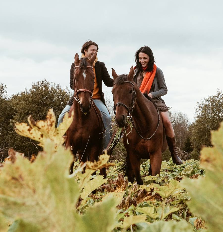 Un couple rit à cheval dans un champ d'automne